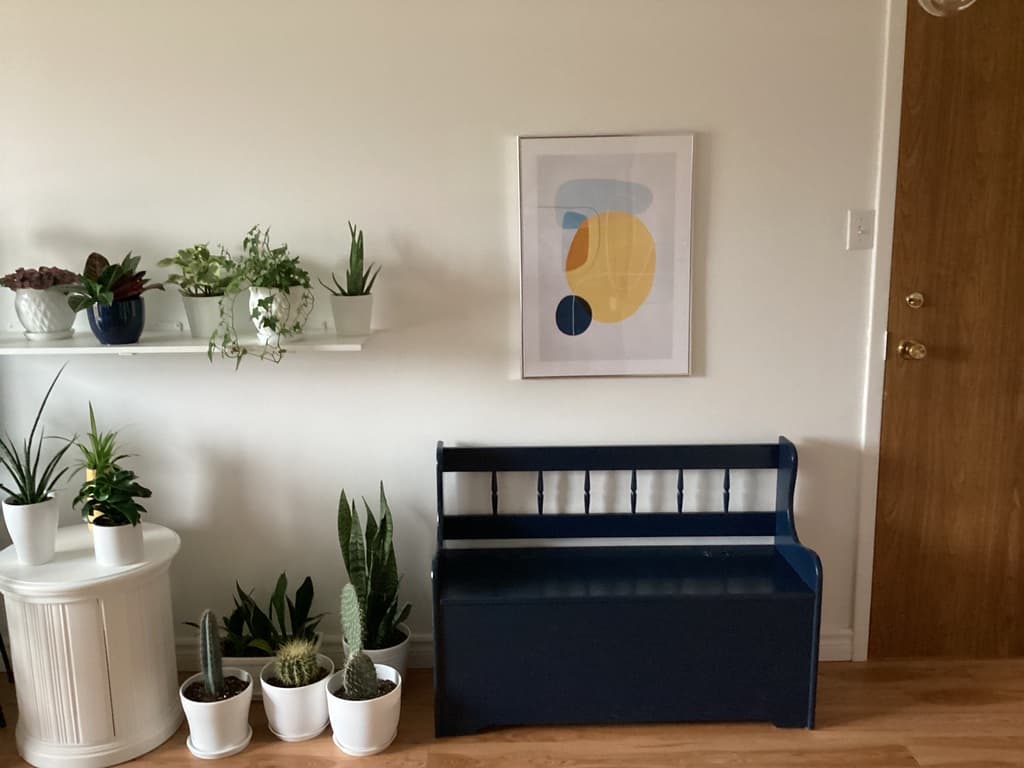 Ce cadre donne une fière allure à mon mur !