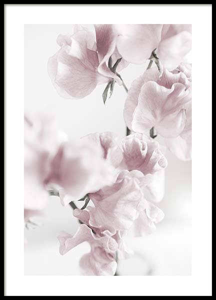 Summer Dream No1 Plagát v skupine Plagáty / Umelecké fotografie v Desenio AB (10405)