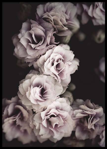 Bouquet De Fleurs Plagát v skupine Plagáty / Umelecké fotografie v Desenio AB (10433)