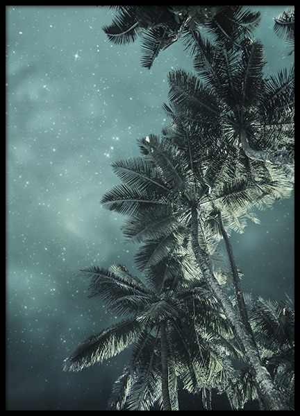 Tropical Night No3 Plagát v skupine Plagáty / Prírodné motívy v Desenio AB (10647)