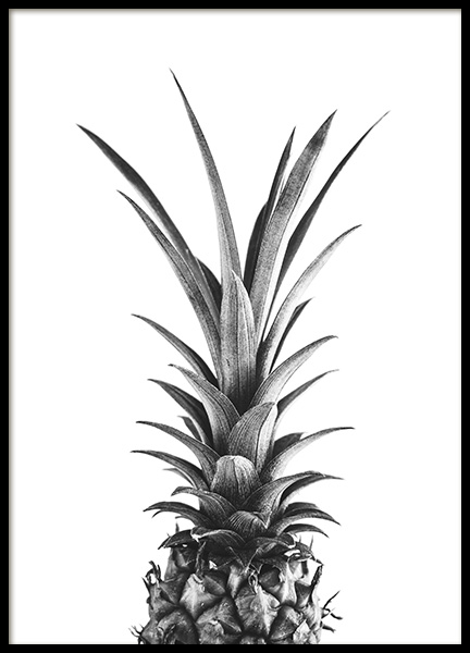 Pineapple B&W Plagát v skupine Plagáty / Čiernobiele plagáty v Desenio AB (10658)