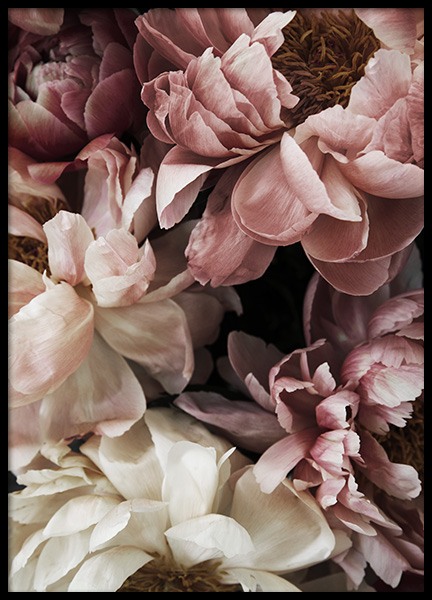 Flower Wall Plagát v skupine Plagáty / Umelecké fotografie v Desenio AB (10990)