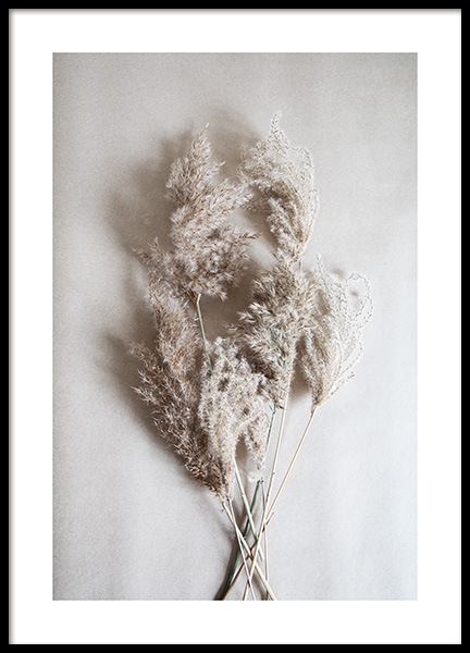 Bouquet of Autumn Reeds Plagát v skupine Plagáty / Umelecké fotografie v Desenio AB (11798)