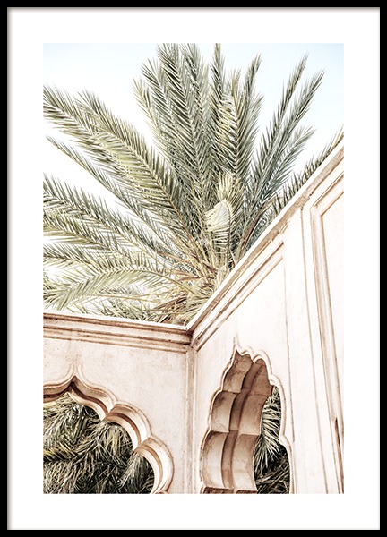 Palm Curves Plagát v skupine Plagáty / Umelecké fotografie v Desenio AB (14217)