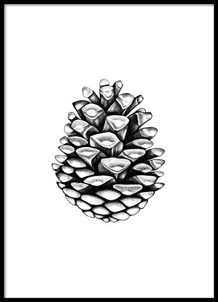 Pinecone Plagát v skupine Plagáty / Čiernobiele plagáty v Desenio AB (2274)