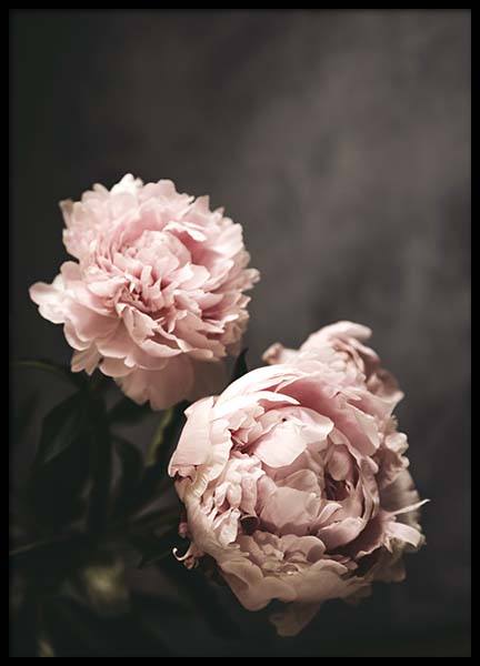 There's Beauty Plagát v skupine Plagáty / Umelecké fotografie v Desenio AB (2788)