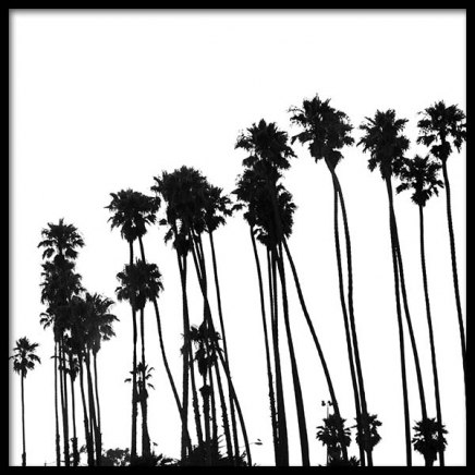 Venice Beach Palm Trees No1 Plagát v skupine Plagáty / Čiernobiele plagáty v Desenio AB (3776)