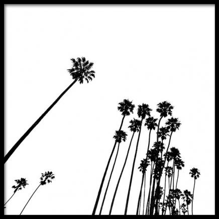 Venice Beach Palm Trees No2 Plagát v skupine Plagáty / Čiernobiele plagáty v Desenio AB (3777)