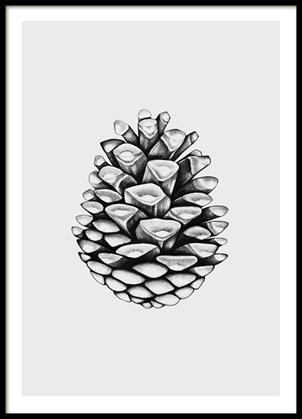 Grey Pinecone, Plagát v skupine Plagáty / Čiernobiele plagáty v Desenio AB (8222)
