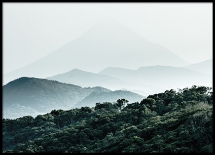 Forest Hills, Plagát v skupine Plagáty / Prírodné motívy v Desenio AB (8307)