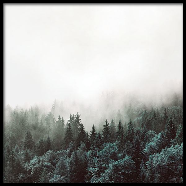 Tree Tops, Plagát v skupine Plagáty / Prírodné motívy v Desenio AB (8587)