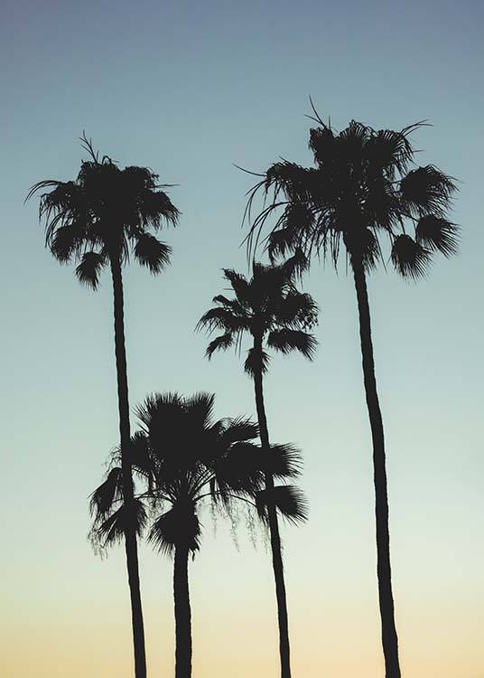 Sunset Palms Plagát / Tropické v Desenio AB (10035)