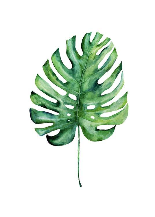 Monstera Aquarell One Plagát