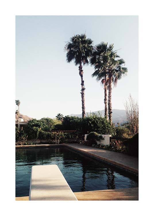 Palm Springs Pool Plagát / Prírodné motívy v Desenio AB (10222)