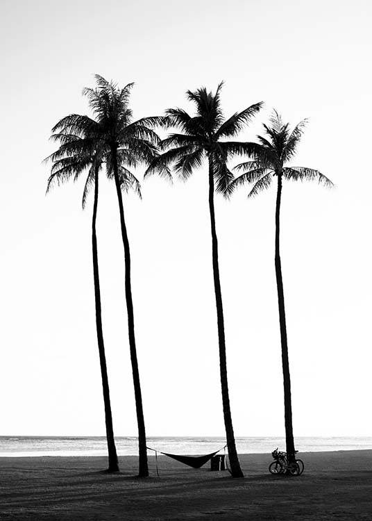  – Čiernobiela fotografia paliem na pláži