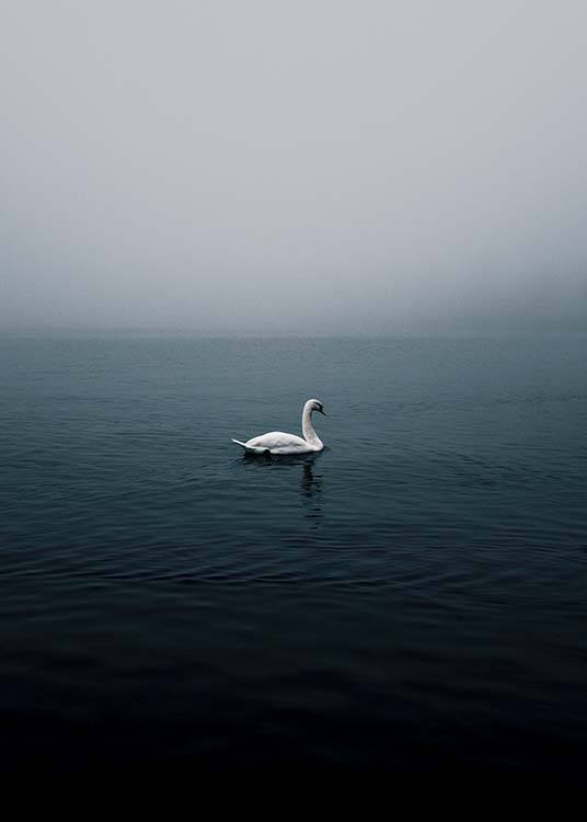 Misty Swan Lake Plagát / Prírodné motívy v Desenio AB (10242)