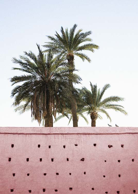 Pink Palms Plagát / Umelecké fotografie v Desenio AB (10270)
