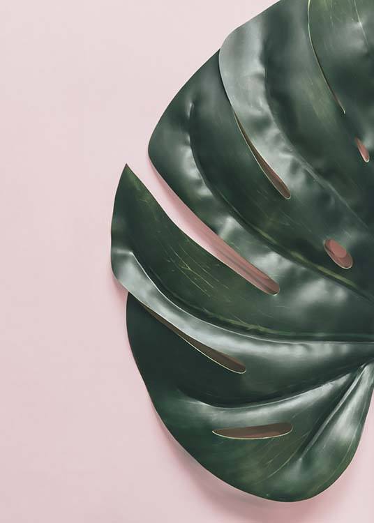 Leaf On Pink Plagát