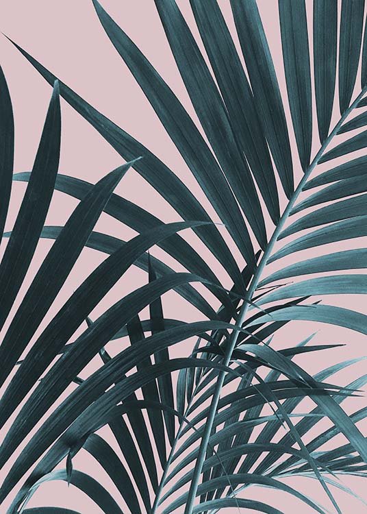 Pastel Palm No1 Plagát
