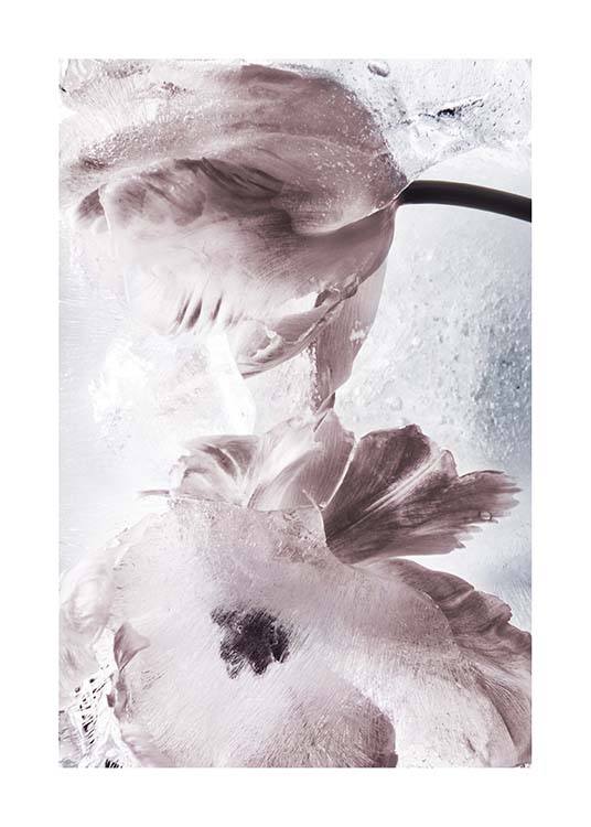 Tulipe And Ice No2 Plagát / Umelecké fotografie v Desenio AB (10410)