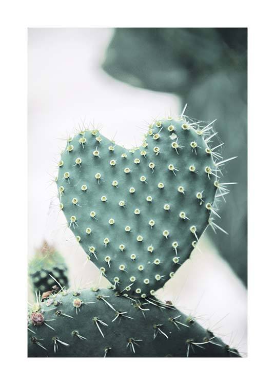Heart Cactus Plagát / Umelecké fotografie v Desenio AB (10431)