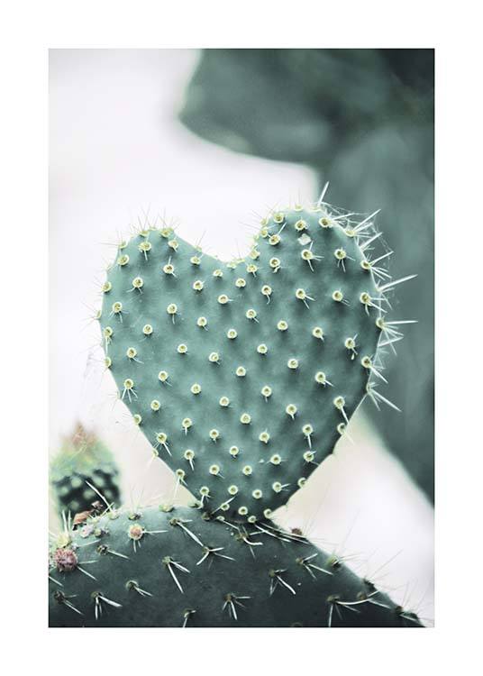 Heart Cactus Plagát