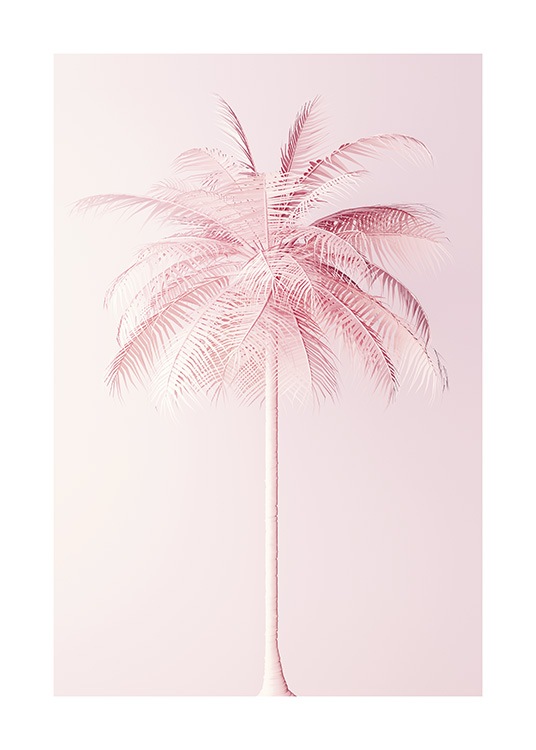 Pastel Pink Palm Plagát / Rastlinné motívy v Desenio AB (10635)