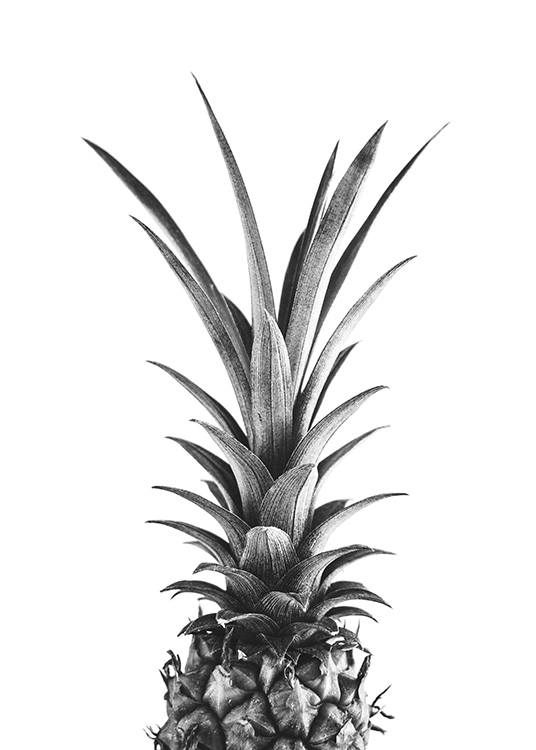 Pineapple B&W Plagát