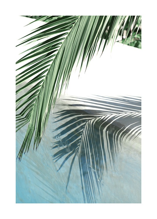 Poolside Palm Reflection Plagát / Umelecké fotografie v Desenio AB (10666)