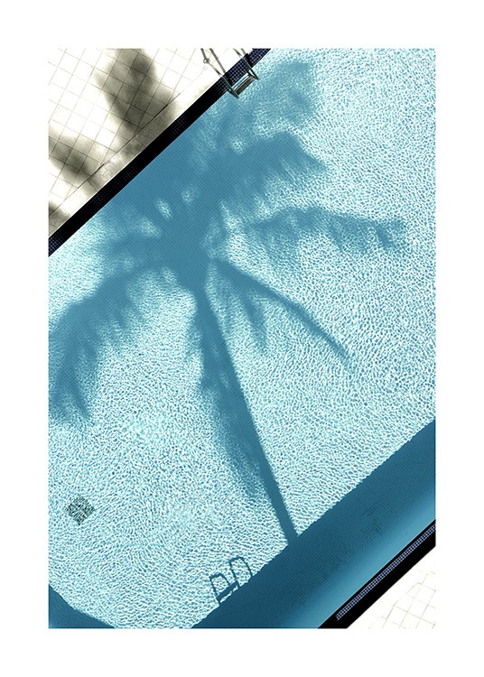 Pool and Palm Tree Plagát / Umelecké fotografie v Desenio AB (10668)
