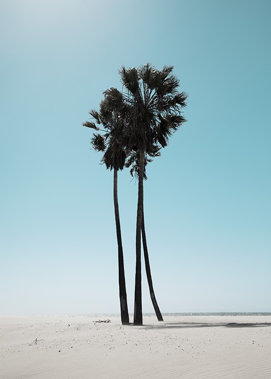 LA Beach Palms Plagát / Tropické v Desenio AB (10784)