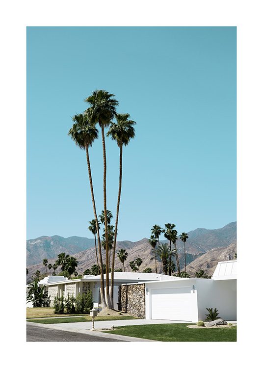 Street of Palm Springs Plagát / 70x100 cm v Desenio AB (10790)