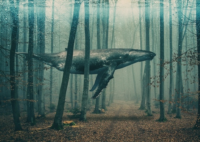  – Umelecký plagát veľryby vznášajúcej sa medzi stromami