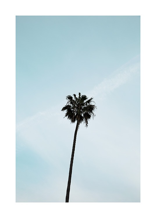Palm Tree Plagát / Prírodné motívy v Desenio AB (10955)