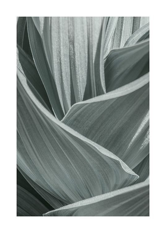 Abstract Green Leaves Plagát / Umelecké fotografie v Desenio AB (10982)