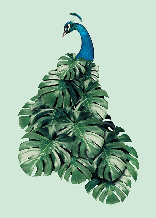 Monstera Bird Plagát