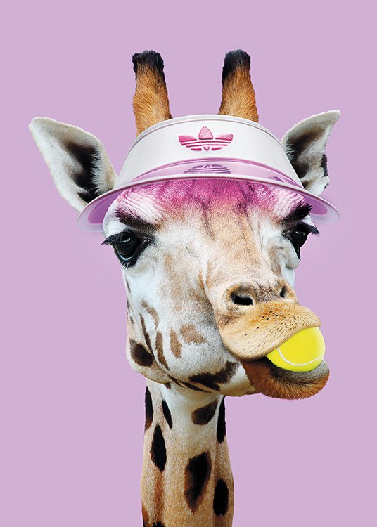 Tennis Giraffe Plagát