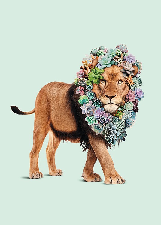 Succulent Lion Plagát / Obrazy pre deti v Desenio AB (11021)