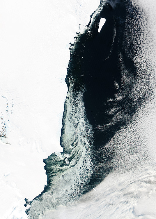 Sea Ice Plagát / Prírodné motívy v Desenio AB (11158)