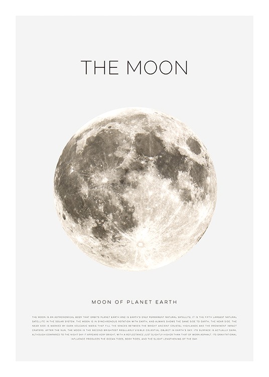 The Moon Plagát / Obrazy pre deti v Desenio AB (11441)