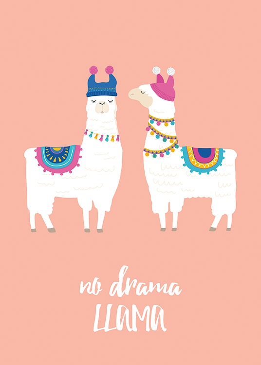 – Text „No drama llama“ pod dvoma bielymi lamami v doplnkoch na ružovo-oranžovom pozadí 