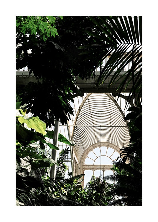 Kew Garden No2 Plagát / Umelecké fotografie v Desenio AB (11590)