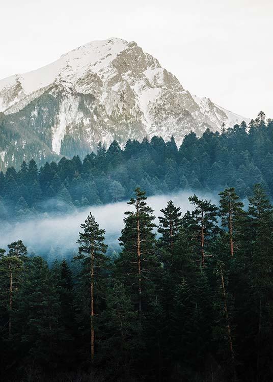 – Fotografia lesa v horách. 