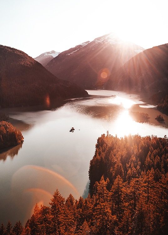  – Fotografia červeného lesa pri jazere počas západu slnka
