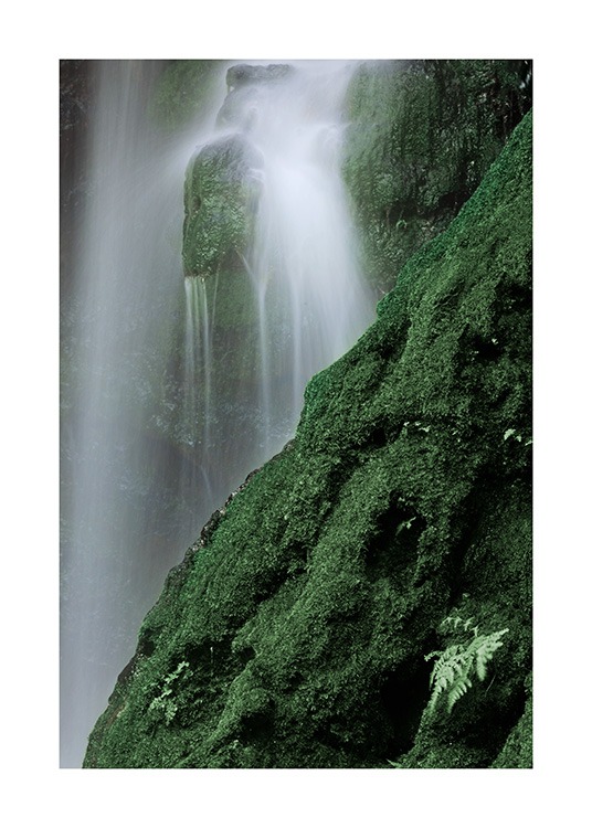 Waterfall in Forest Plagát / Prírodné motívy v Desenio AB (12080)