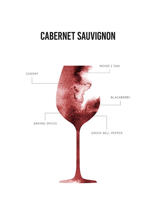 Cabernet Sauvignon Anatomy Plagát
