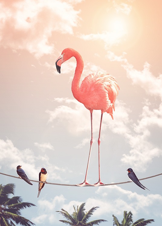 Flamingo and Friends Plagát / Umelecké fotografie v Desenio AB (12211)