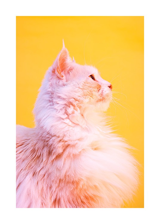 Pink Cat Plagát / Umelecké fotografie v Desenio AB (12227)