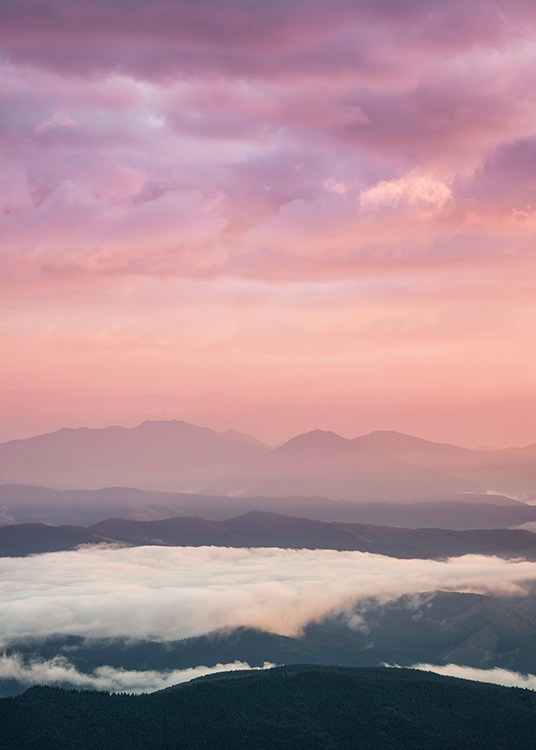 Pink Sunrise Plagát