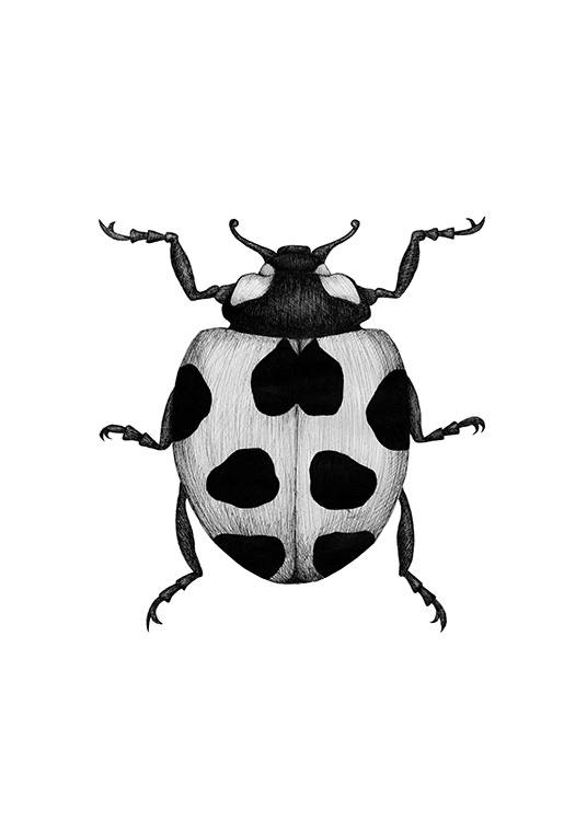 Ladybird Drawing Plagát